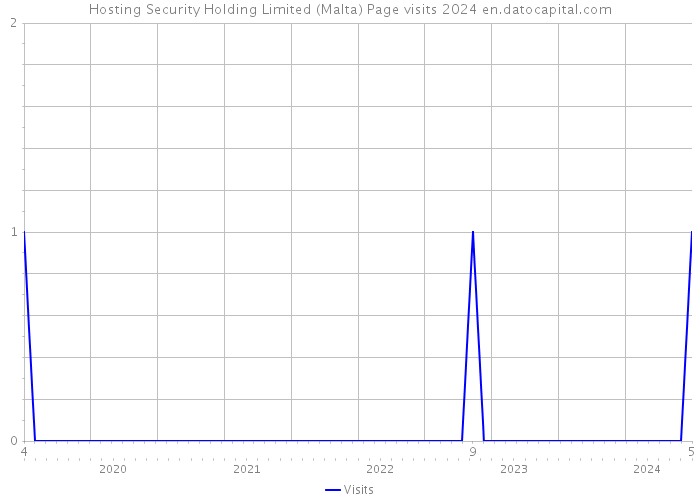 Hosting Security Holding Limited (Malta) Page visits 2024 