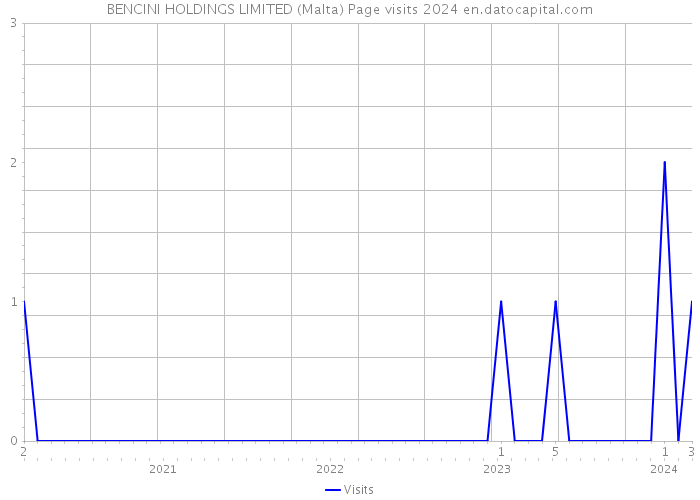 BENCINI HOLDINGS LIMITED (Malta) Page visits 2024 