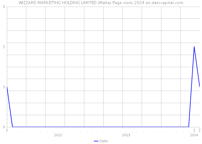 WIZZARD MARKETING HOLDING LIMITED (Malta) Page visits 2024 