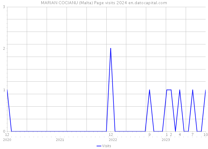 MARIAN COCIANU (Malta) Page visits 2024 