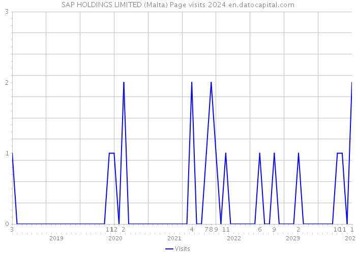 SAP HOLDINGS LIMITED (Malta) Page visits 2024 