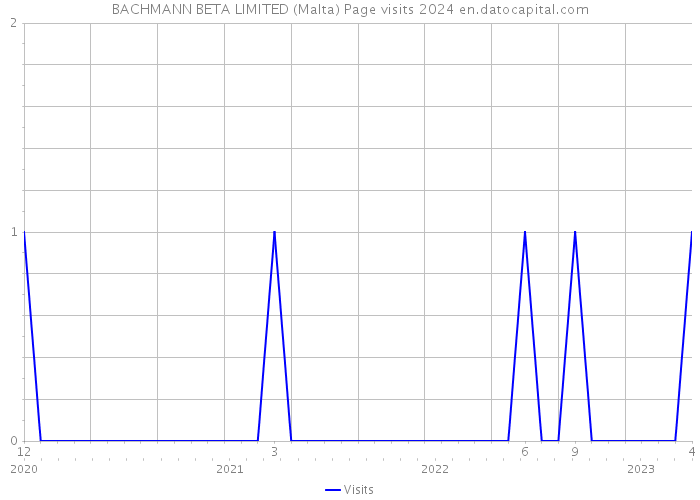 BACHMANN BETA LIMITED (Malta) Page visits 2024 