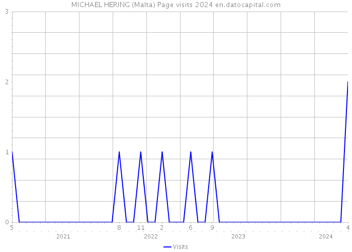 MICHAEL HERING (Malta) Page visits 2024 