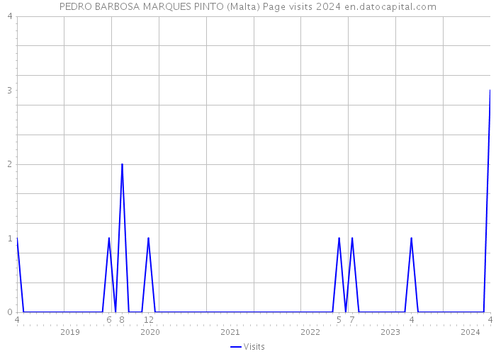 PEDRO BARBOSA MARQUES PINTO (Malta) Page visits 2024 