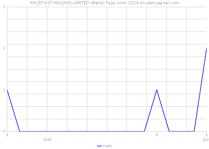 PACECAST HOLDING LIMITED (Malta) Page visits 2024 
