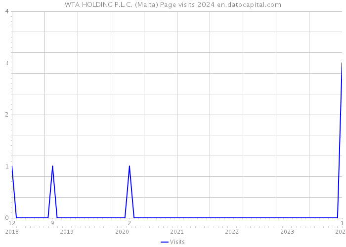WTA HOLDING P.L.C. (Malta) Page visits 2024 