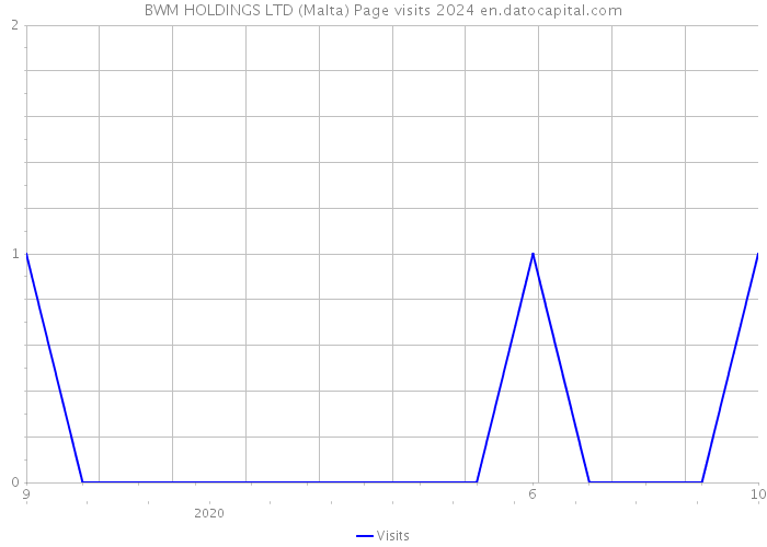 BWM HOLDINGS LTD (Malta) Page visits 2024 