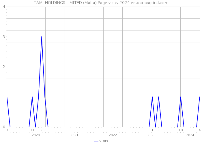 TAMI HOLDINGS LIMITED (Malta) Page visits 2024 