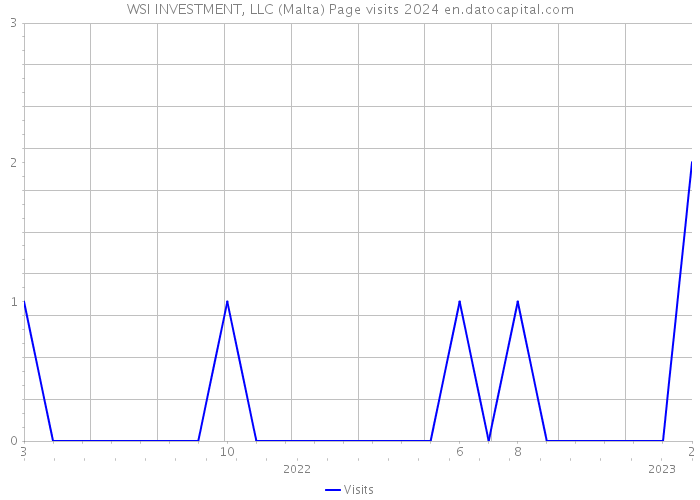 WSI INVESTMENT, LLC (Malta) Page visits 2024 