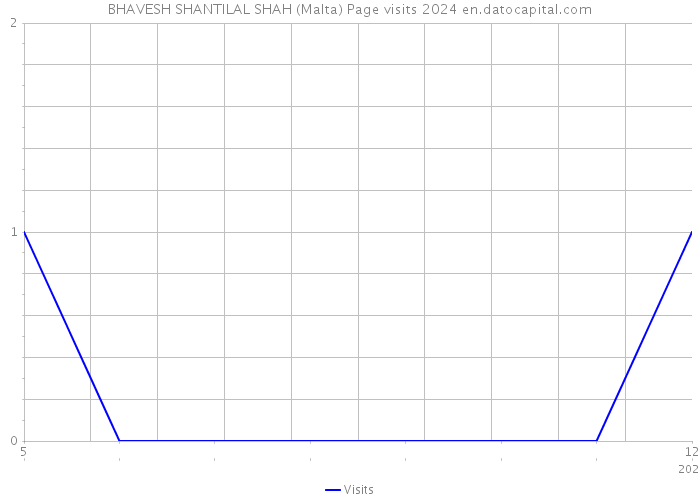 BHAVESH SHANTILAL SHAH (Malta) Page visits 2024 