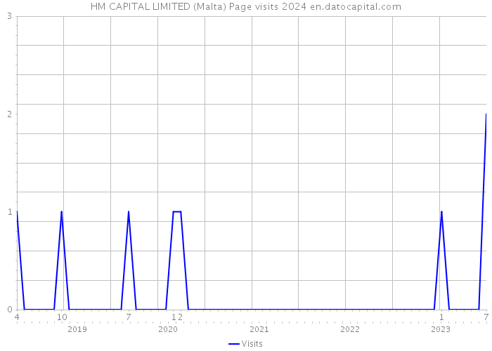 HM CAPITAL LIMITED (Malta) Page visits 2024 