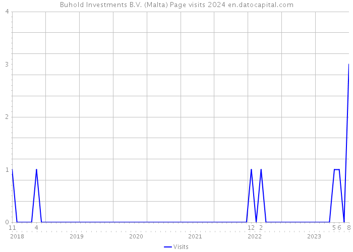 Buhold Investments B.V. (Malta) Page visits 2024 
