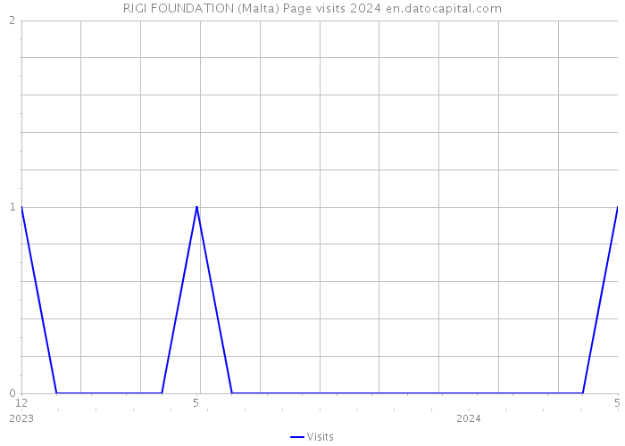 RIGI FOUNDATION (Malta) Page visits 2024 