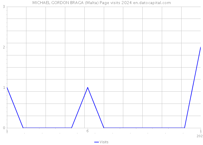 MICHAEL GORDON BRAGA (Malta) Page visits 2024 