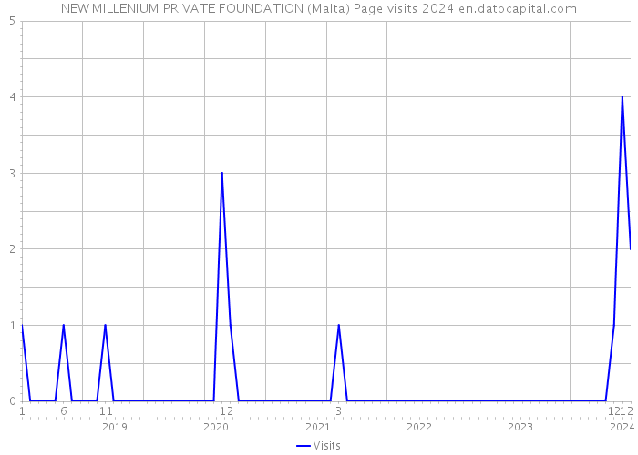 NEW MILLENIUM PRIVATE FOUNDATION (Malta) Page visits 2024 
