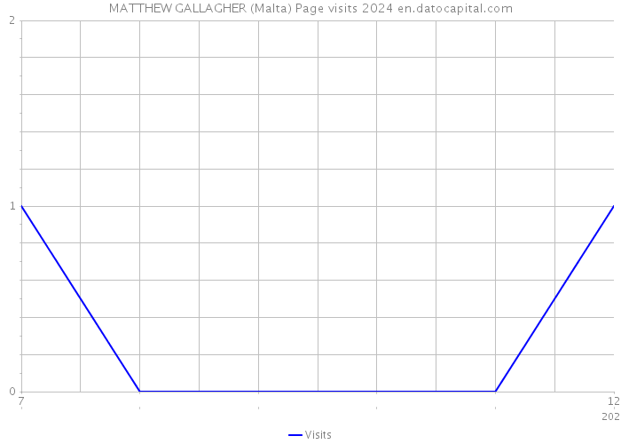 MATTHEW GALLAGHER (Malta) Page visits 2024 