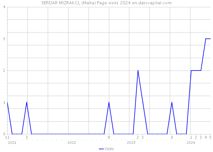 SERDAR MIZRAKCI, (Malta) Page visits 2024 