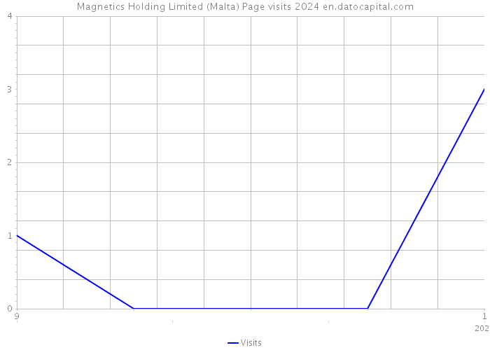 Magnetics Holding Limited (Malta) Page visits 2024 