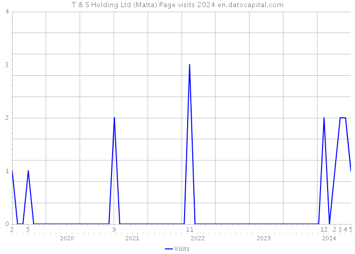T & S Holding Ltd (Malta) Page visits 2024 