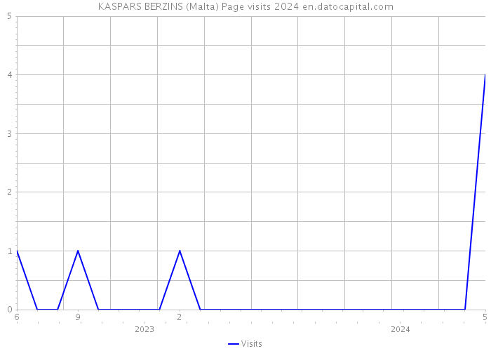 KASPARS BERZINS (Malta) Page visits 2024 