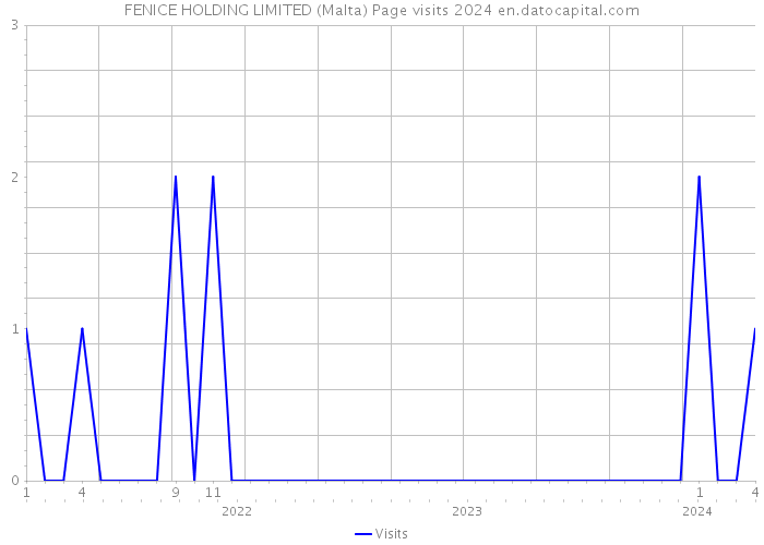 FENICE HOLDING LIMITED (Malta) Page visits 2024 