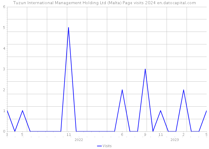 Tuzun International Management Holding Ltd (Malta) Page visits 2024 