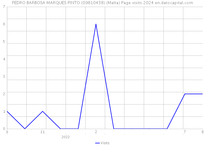 PEDRO BARBOSA MARQUES PINTO (09810438) (Malta) Page visits 2024 