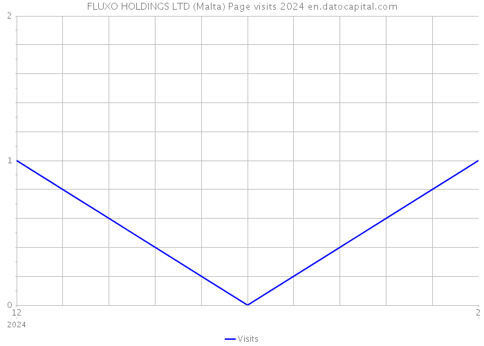 FLUXO HOLDINGS LTD (Malta) Page visits 2024 