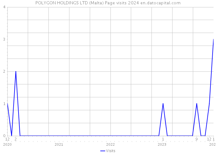 POLYGON HOLDINGS LTD (Malta) Page visits 2024 