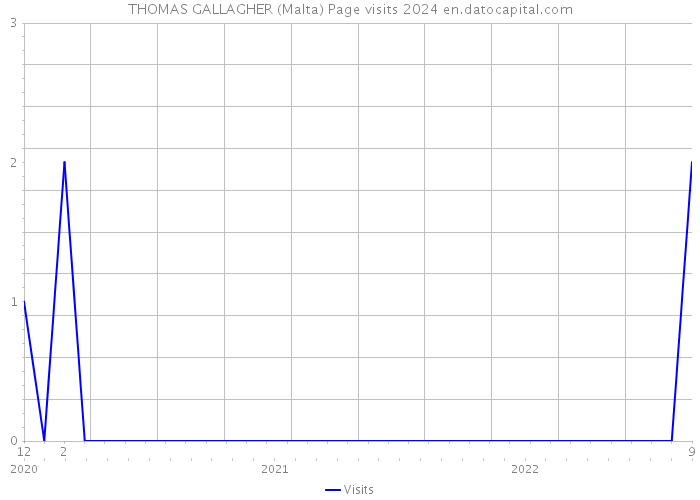 THOMAS GALLAGHER (Malta) Page visits 2024 