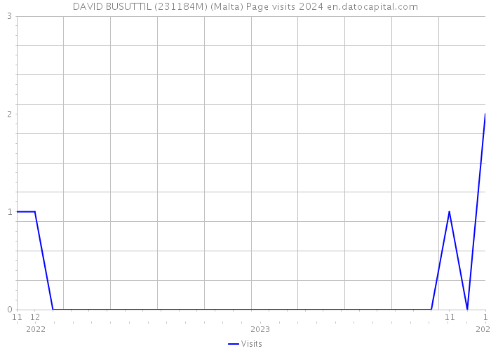 DAVID BUSUTTIL (231184M) (Malta) Page visits 2024 