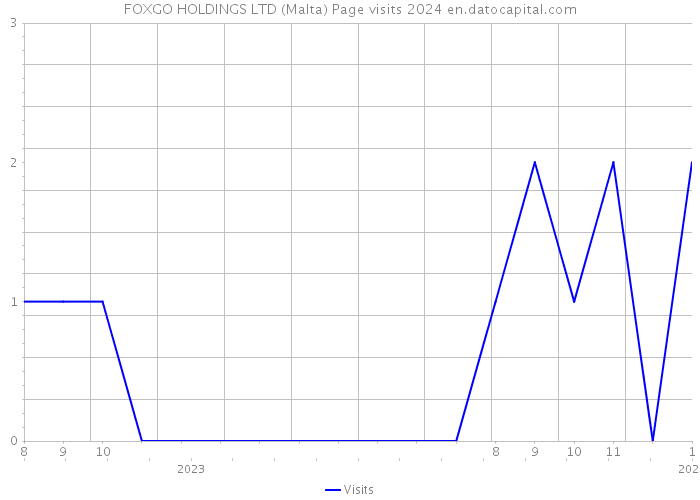 FOXGO HOLDINGS LTD (Malta) Page visits 2024 