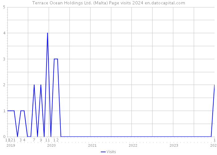 Terrace Ocean Holdings Ltd. (Malta) Page visits 2024 