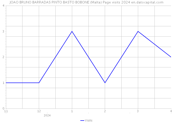 JOAO BRUNO BARRADAS PINTO BASTO BOBONE (Malta) Page visits 2024 