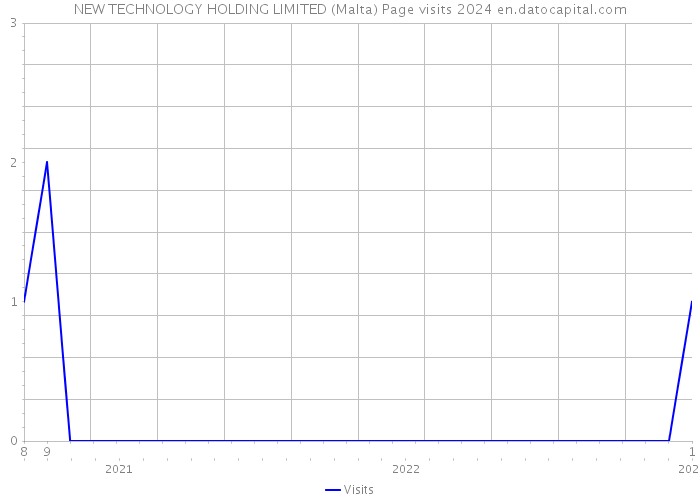 NEW TECHNOLOGY HOLDING LIMITED (Malta) Page visits 2024 