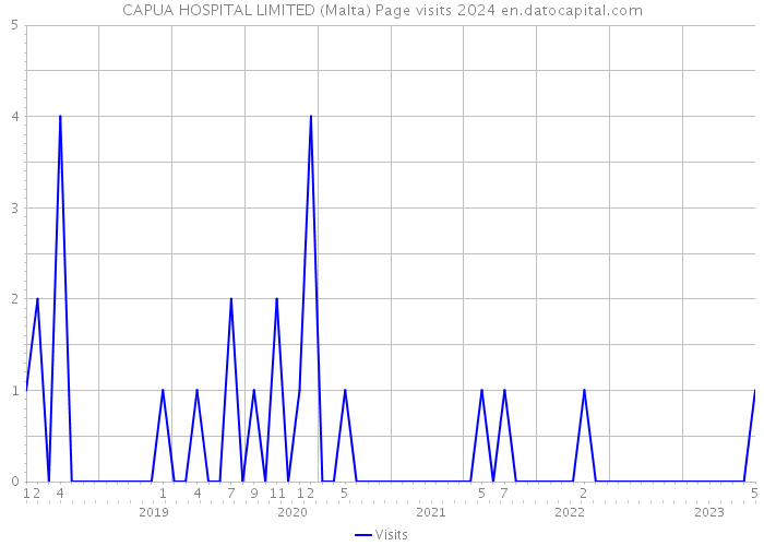 CAPUA HOSPITAL LIMITED (Malta) Page visits 2024 