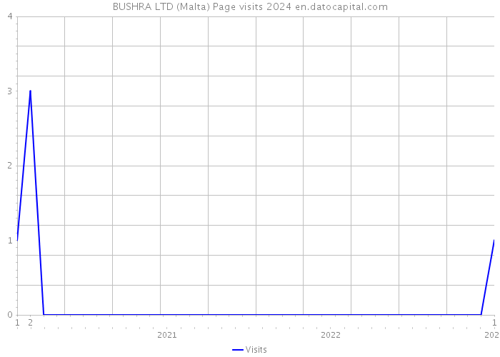 BUSHRA LTD (Malta) Page visits 2024 