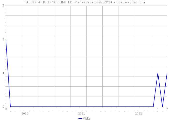 TALEIDHA HOLDINGS LIMITED (Malta) Page visits 2024 