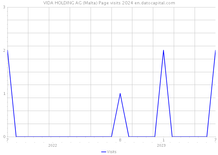 VIDA HOLDING AG (Malta) Page visits 2024 