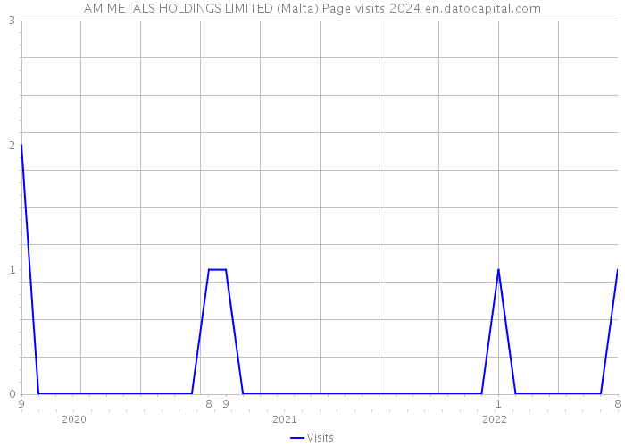 AM METALS HOLDINGS LIMITED (Malta) Page visits 2024 
