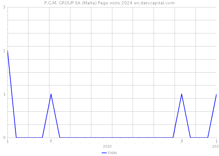 P.G.M. GROUP SA (Malta) Page visits 2024 