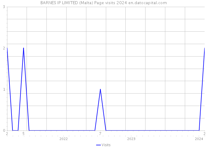 BARNES IP LIMITED (Malta) Page visits 2024 