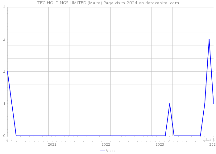 TEC HOLDINGS LIMITED (Malta) Page visits 2024 