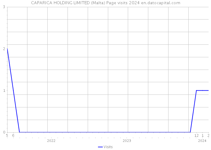 CAPARICA HOLDING LIMITED (Malta) Page visits 2024 