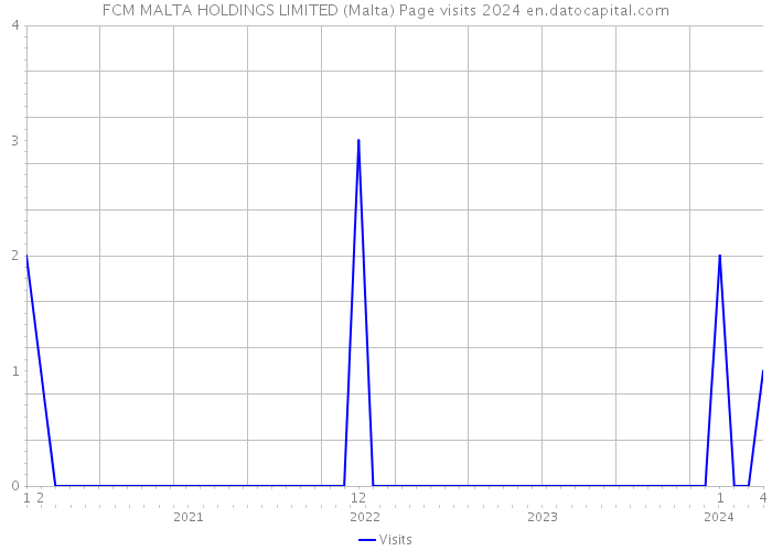 FCM MALTA HOLDINGS LIMITED (Malta) Page visits 2024 