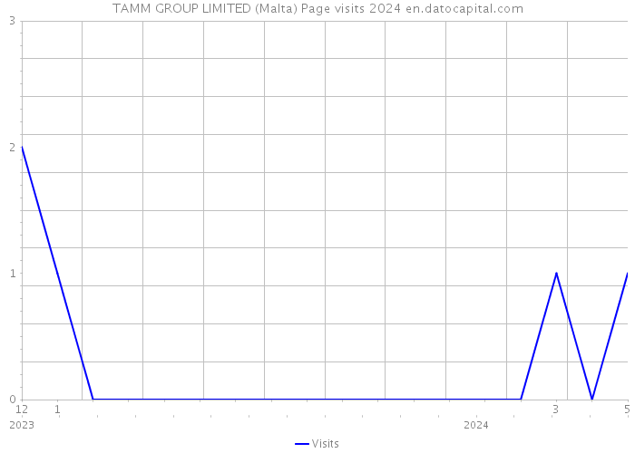 TAMM GROUP LIMITED (Malta) Page visits 2024 