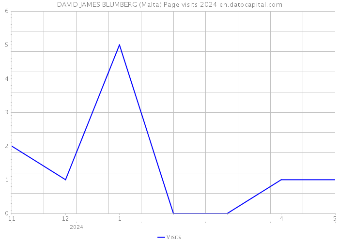 DAVID JAMES BLUMBERG (Malta) Page visits 2024 