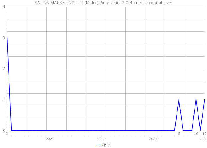 SALINA MARKETING LTD (Malta) Page visits 2024 