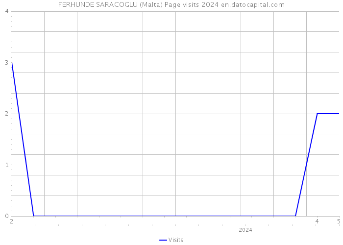 FERHUNDE SARACOGLU (Malta) Page visits 2024 