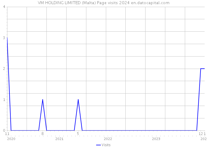 VM HOLDING LIMITED (Malta) Page visits 2024 